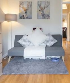 Sofa Bed