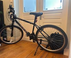Adult bike