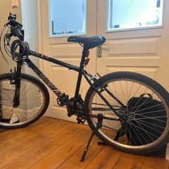 Adult bike