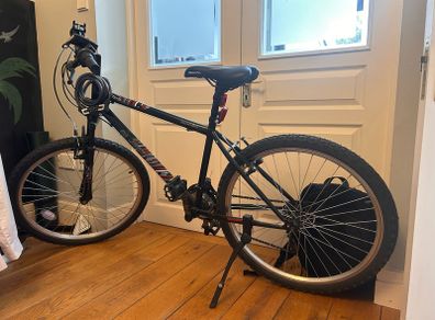 Adult bike