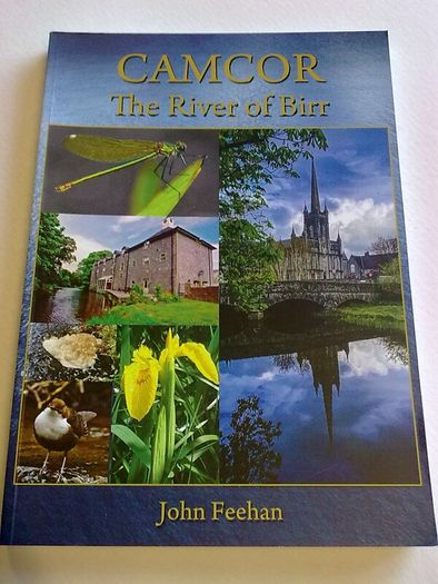 Camcor The river of Birr Offaly Ireland Irish Local history