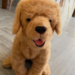 Rare FurReal Friends Biscuit interactive puppy