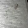 Small Double Mattress Image 4
