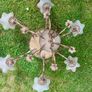 Vintage 6 arm brass chandelier Image 3