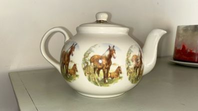 shannonbridge beautiful vintage teapot