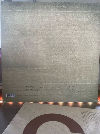 The Hold Steady - Stay Positive