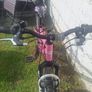 24" Bike Image 9