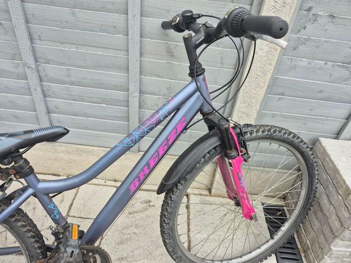 2 adult bikes