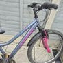 2 adult bikes Image 5