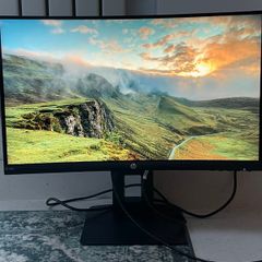 HP X24c Curved Gaming Monitor