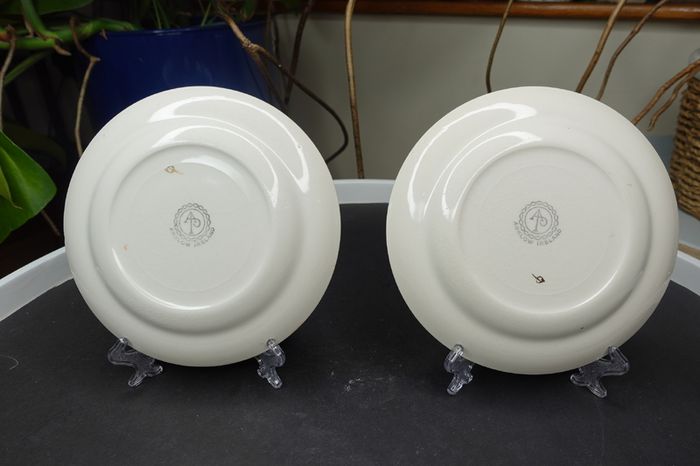 Vintage Souvenir Plate Arklow Pottery Republic of Ireland, Dun Laoghaire (Set)
