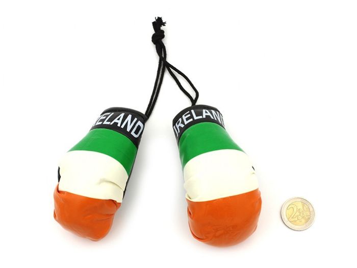 Irish Boxing Glove Car Accesories