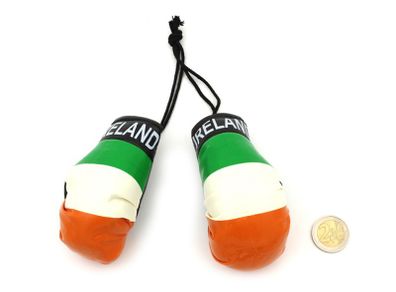 Irish Boxing Glove Car Accesories