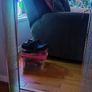 mirror Image 5