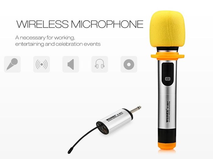Brand New Best Pro  Universal Wireless Microphone Black