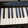 Roland FP-10 Digital Piano Image 2