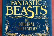 Book: Fantastic Beasts and where to find them - original screenplay