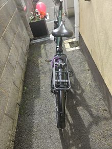 raleigh electric bike
