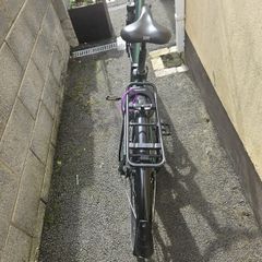 raleigh electric bike