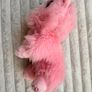 Scruff A Luvs Pink Puppy Dog Cat Kitten Plush Moose approx. 23 cm. Used Please see photos Image 7
