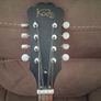 Mandola Image 2