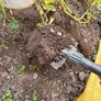 top soil -FREE Image 2