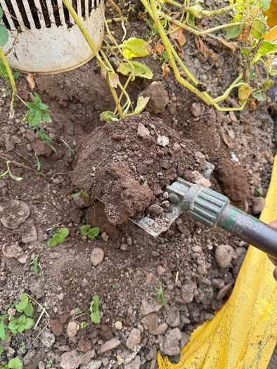 top soil -FREE