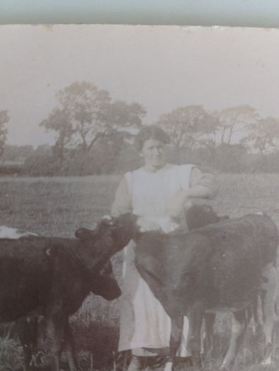 Antique Unposted RPPC  Early 20th C. Rural Farming Scene, Elswick