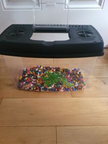 Fish Tank