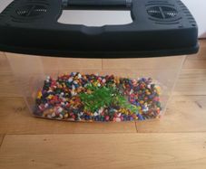 Fish Tank