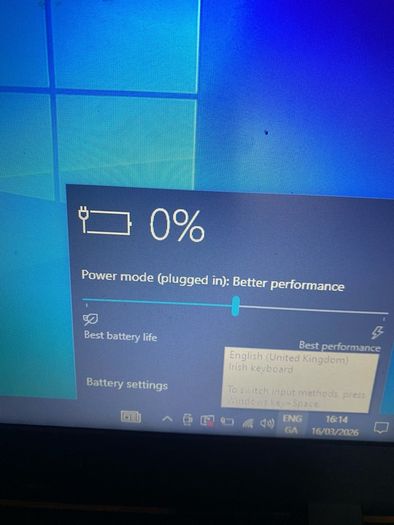 acer