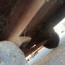 Antique Woollen Mill Trolley / Cart Image 3