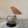 Hand-Carved Gemstone European Robin on Polished Quartz Base Image 8
