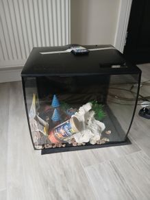 Fish tank