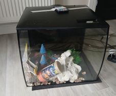 Fish tank
