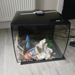 Fish tank