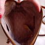 Michael Kors Cindy Large Dome Crossbody Bag - Colour Acorn - BNWT RRP 220 Image 10