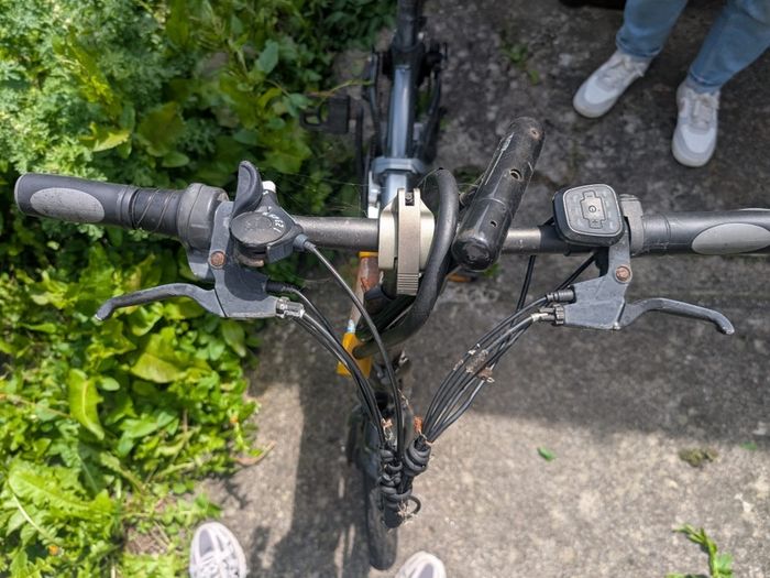 Fiido D2S Ebike