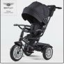 Trike bike Bentley Image 10