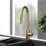 Brushed Brass Pull-Out Kitchen Mixer Tap Image 3