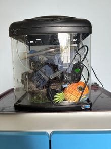 Small aquarium with accessories