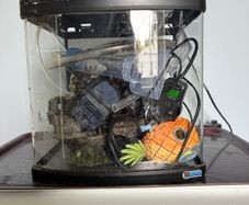 Small aquarium with accessories