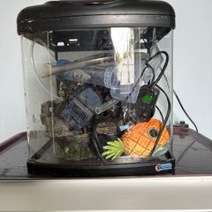 Small aquarium with accessories
