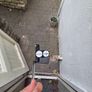 Odyssey White Hot Pro 2-Ball Blade Putter Image 4