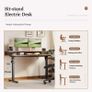Height-Adjustable Desk with Double Drawers Electric Sit-Stand Computer Ergonomic Standing 100 x 60 cm Brown Image 3