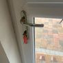 Front, back and french doors Image 8