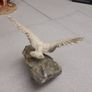 Bird ornament Image 3