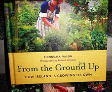 From The Ground Up how ireland is growing its own 296 page hardback 3 euro