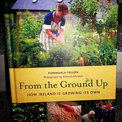 From The Ground Up how ireland is growing its own 296 page hardback 3 euro
