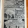 Comic: 'Star Wars Weekly' no. 65 / 1979 Image 3
